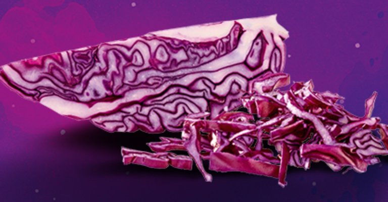 Bautzner Rotkohl