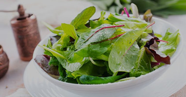 Grüner Salat mit Bautzner Kräuter Essig