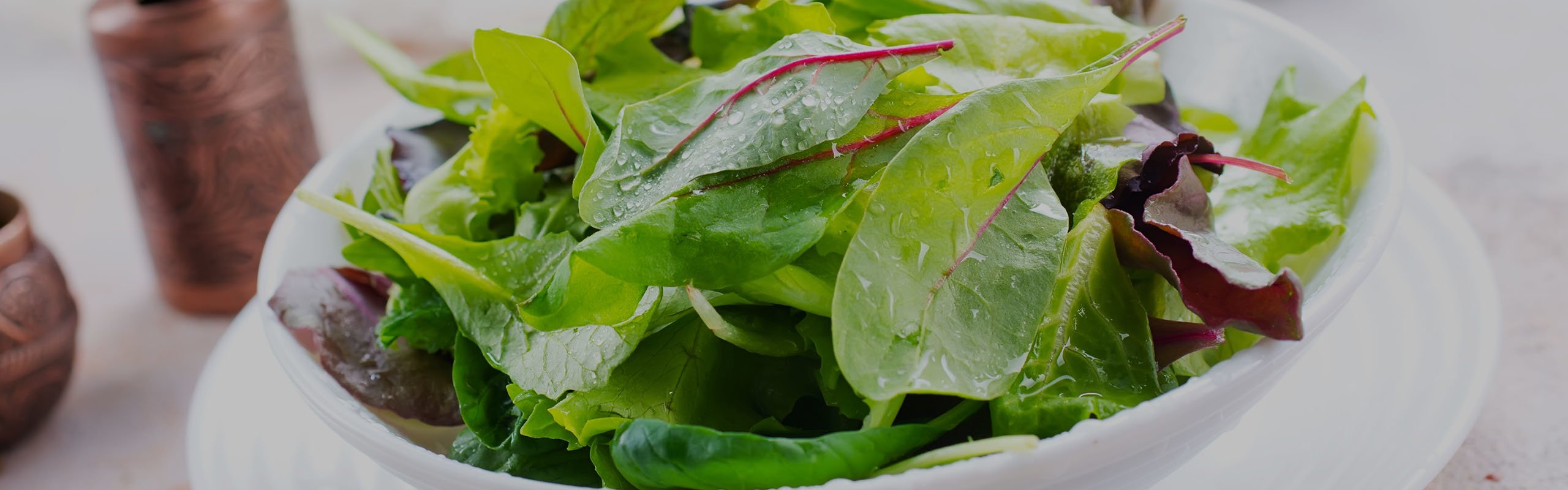 Grüner Salat mit Bautzner Kräuter Essig
