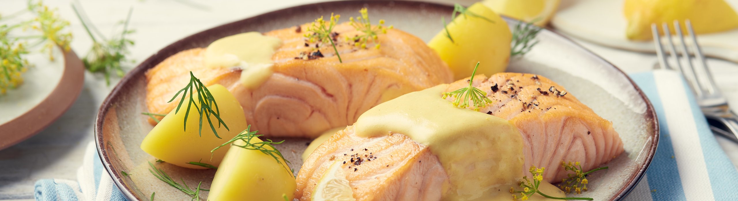 Bautzner Rezepte Lachs mit Senfsoße